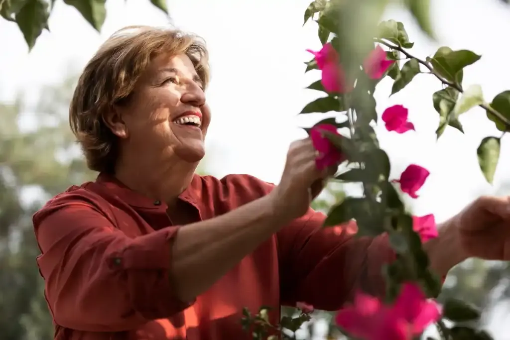 senior Dutch woman gardening in raised beds backyard