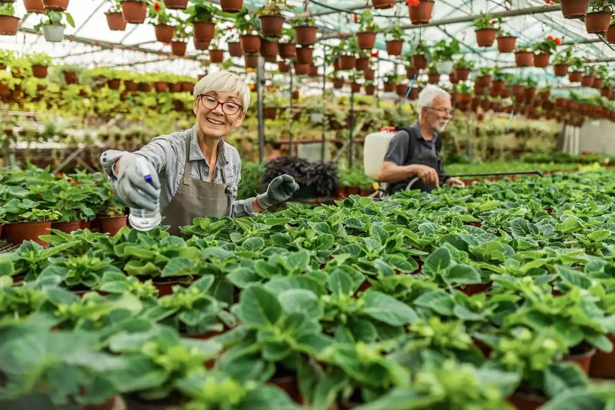 raised garden bed senior Netherlands