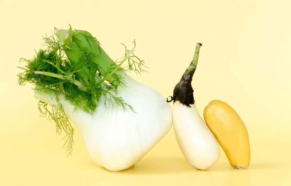 parsnip trendy vegetable Dutch market