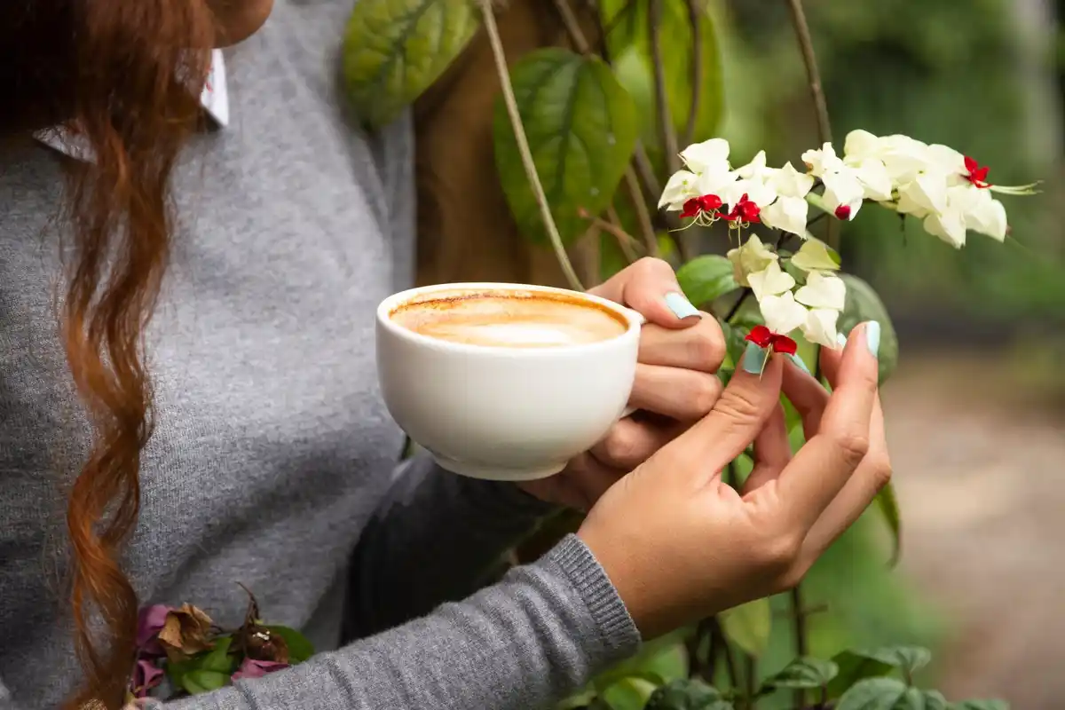 coffee grounds gardening Netherlands