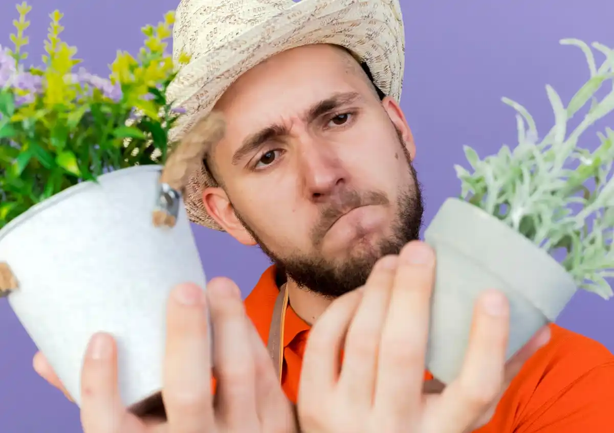 nitrogen fertilizer overdose symptoms vegetables