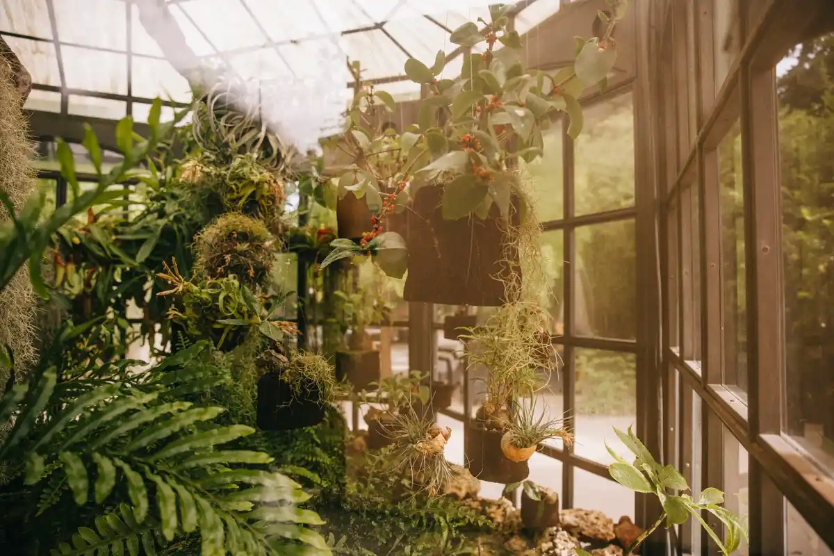 feng shui greenhouse door direction sunlight plants