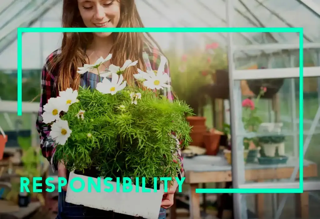 Dutch greenhouse location advice