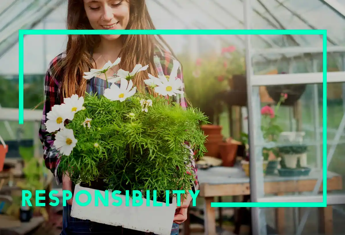 Dutch greenhouse location advice