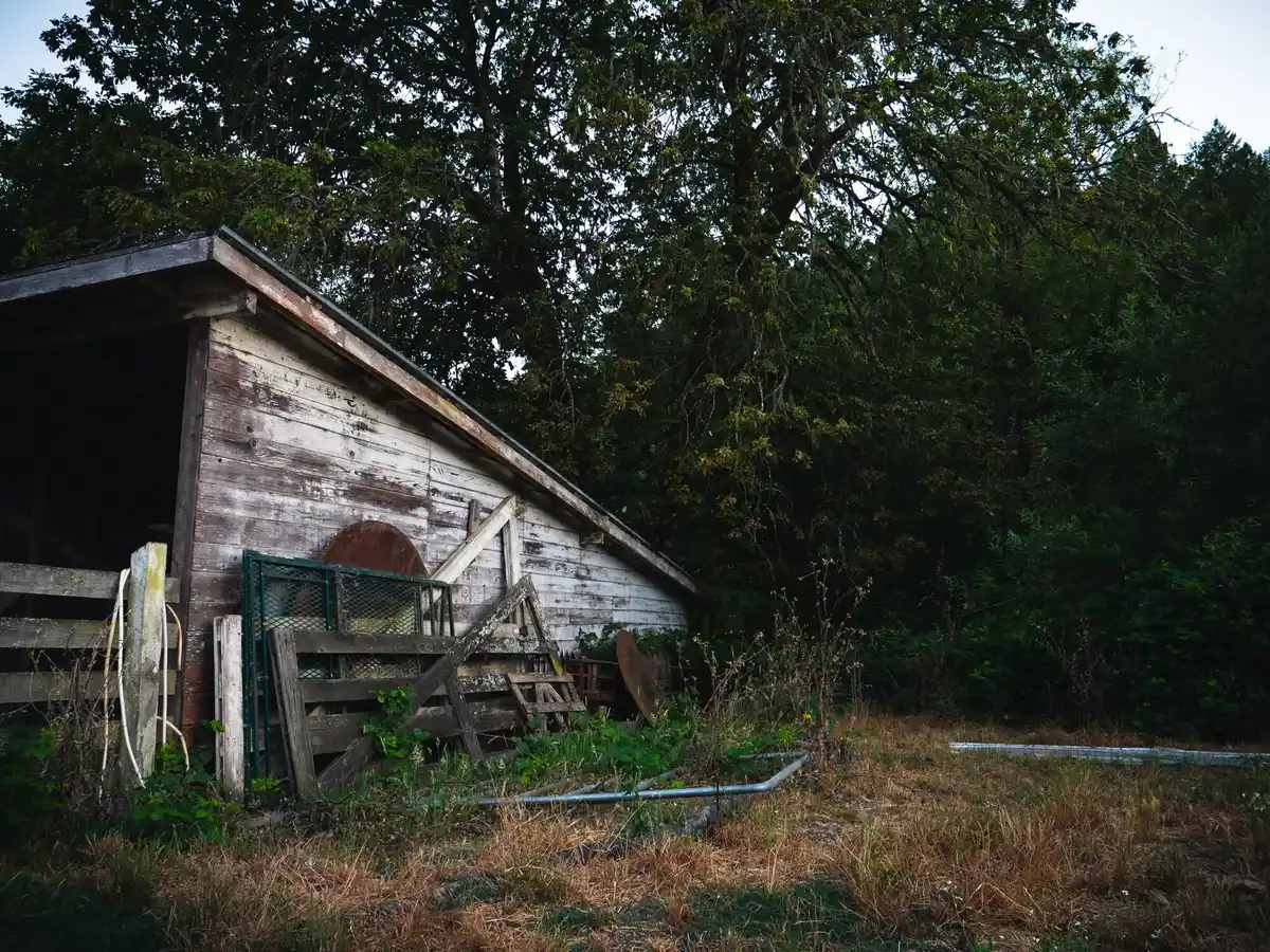 Wrongly placed greenhouse in shade with poor harvest