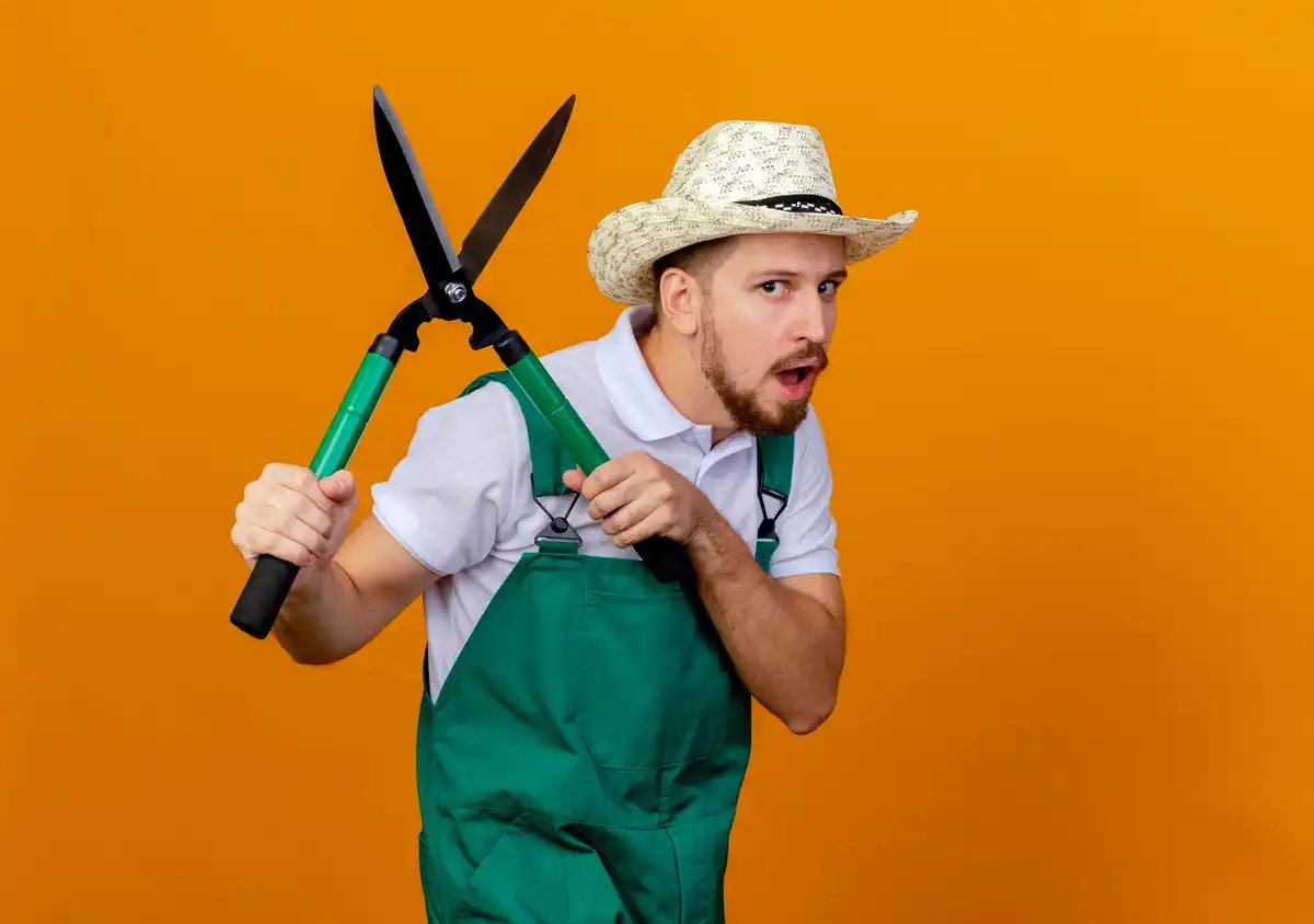 traditional Dutch gardener mowing lawn with hand tools
