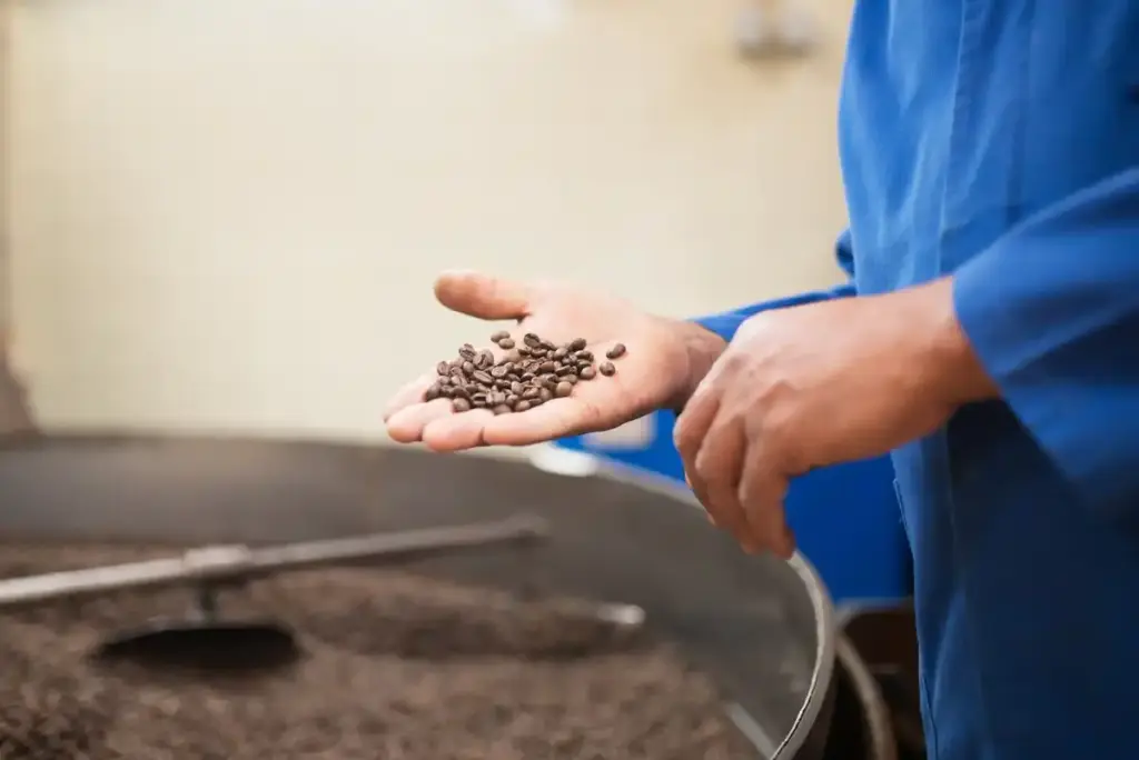 soaking seeds in coffee before planting