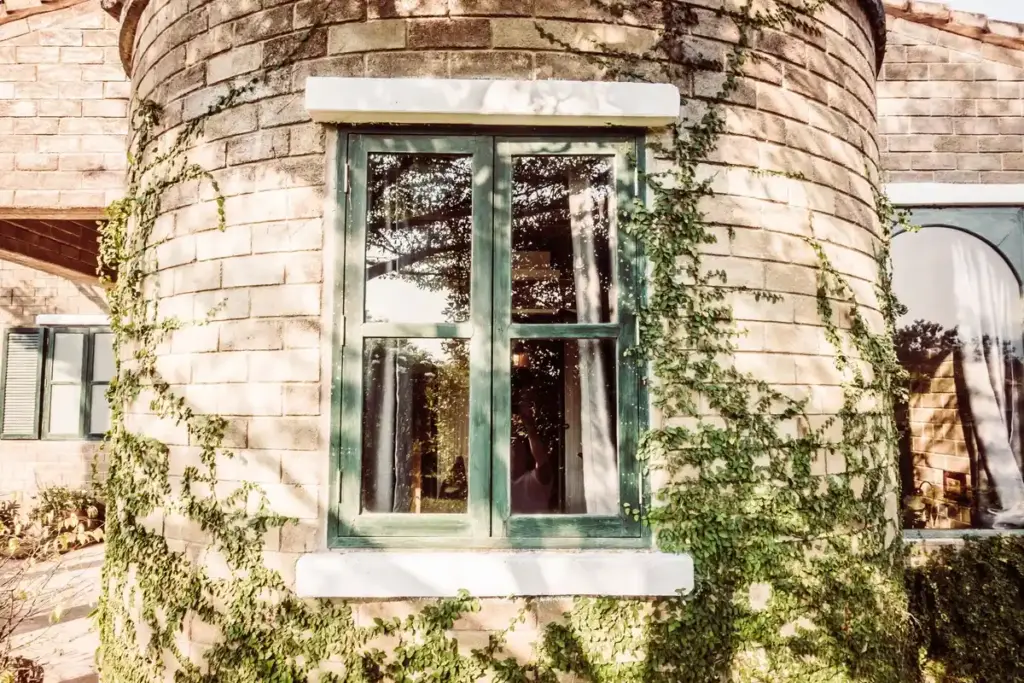 DIY greenhouse from old windows Dutch backyard