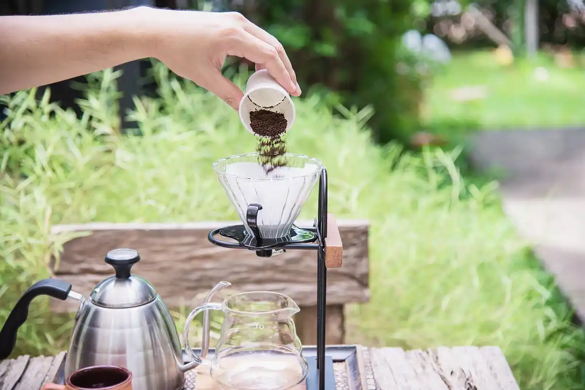Dutch garden using coffee grounds