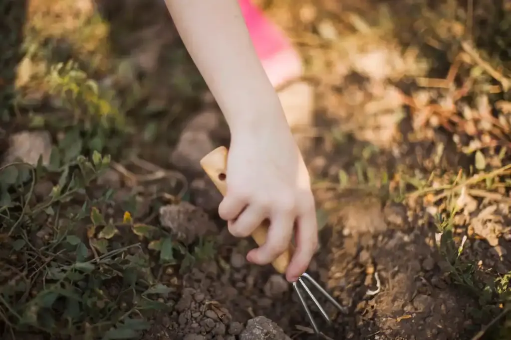 hand cultivator garden Netherlands close up
