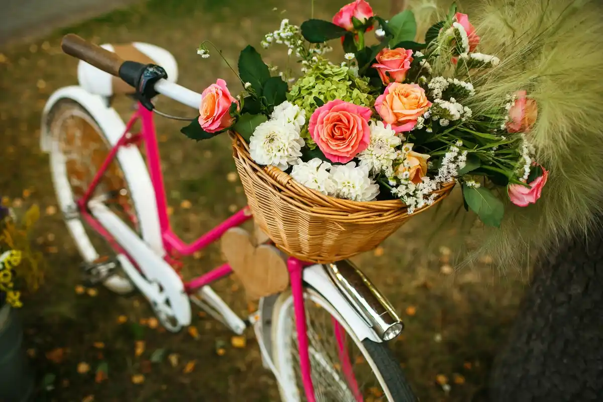 vintage bicycle garden decoration flowers dutch