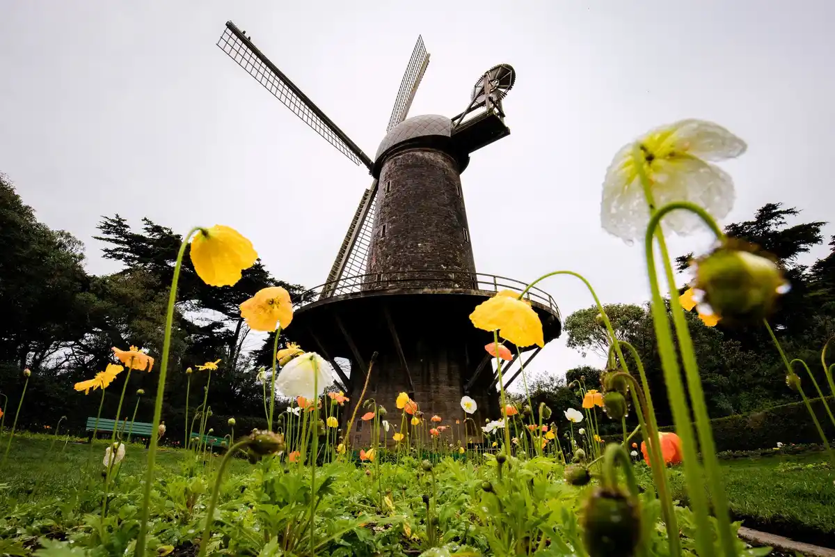 creative upcycled bicycle garden project netherlands funky