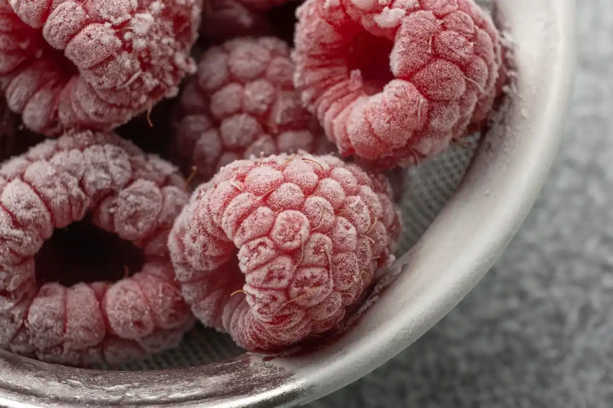 frozen seeds in home freezer netherlands