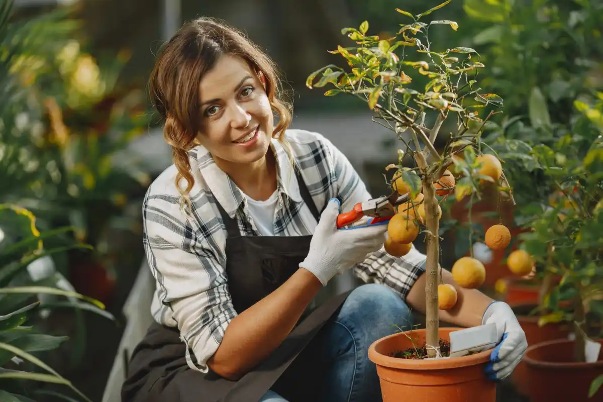 woman planting seeds after freezing in dutch garden