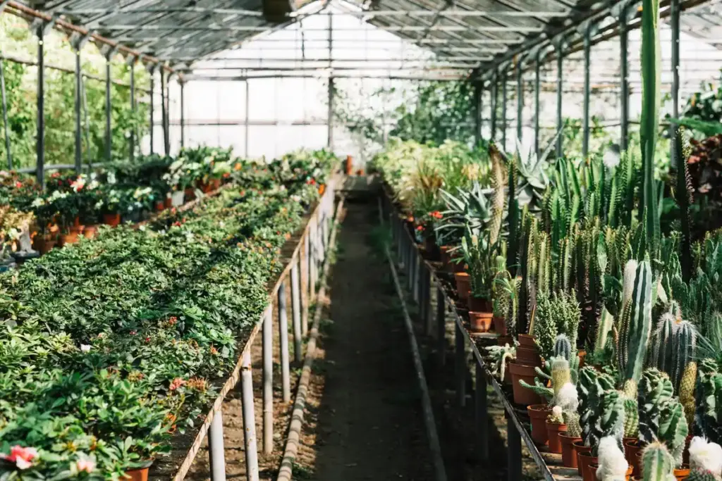 greenhouse placement garden mistake netherlands