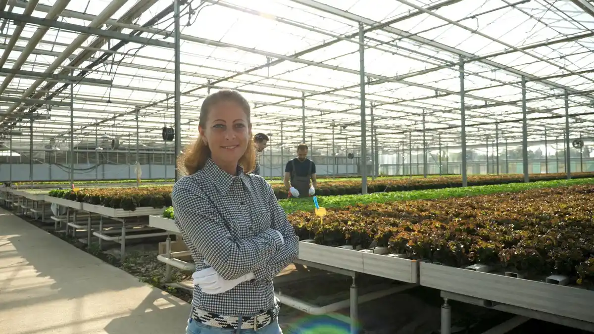 greenhouse microclimate wind shelter netherlands garden smallholder