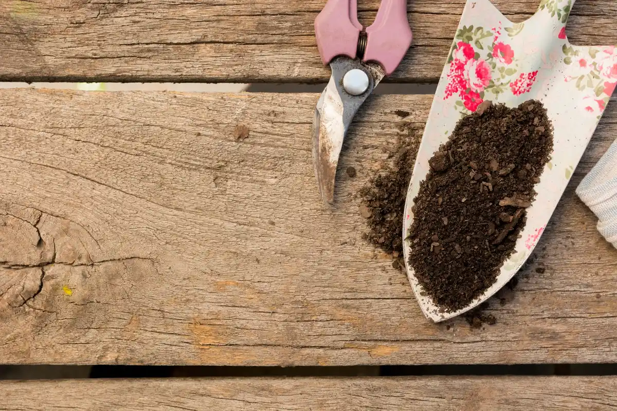 coffee grounds in vegetable garden
