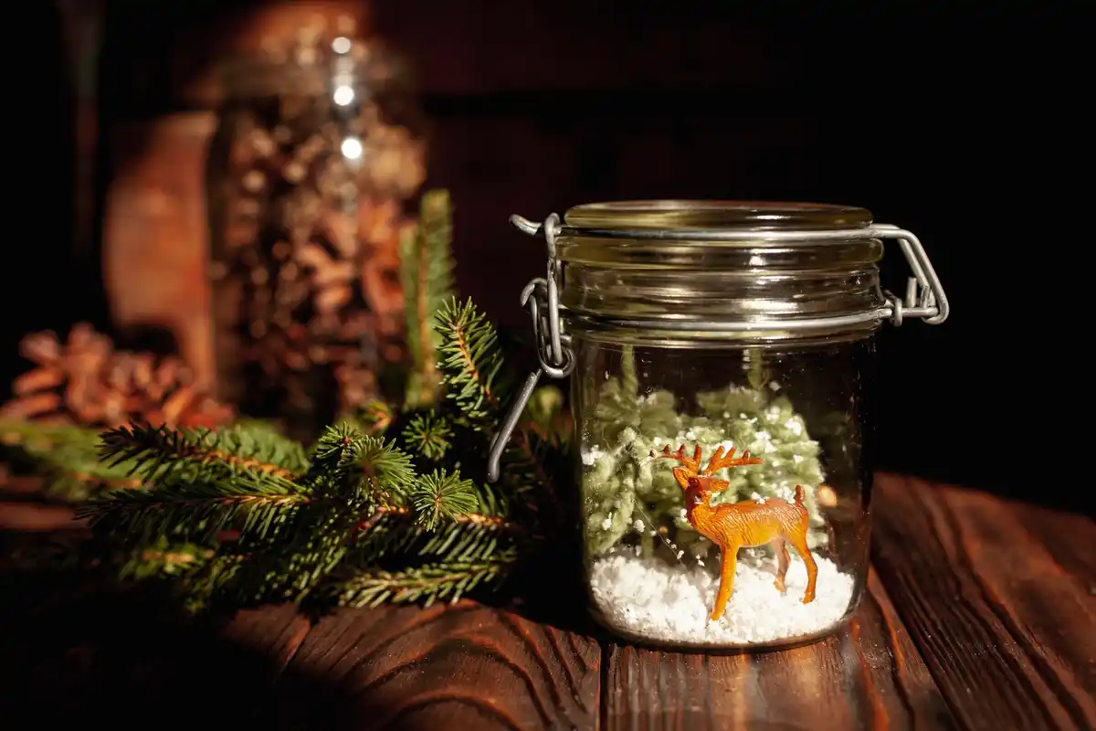 DIY water bottle greenhouse frost protection night