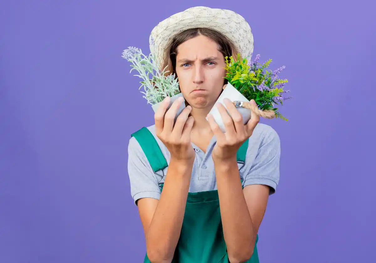 homemade natural pesticide for garden vegetables