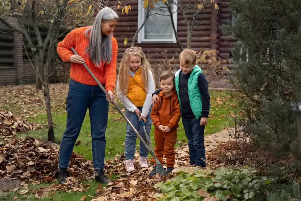 budget garden rake dutch backyard