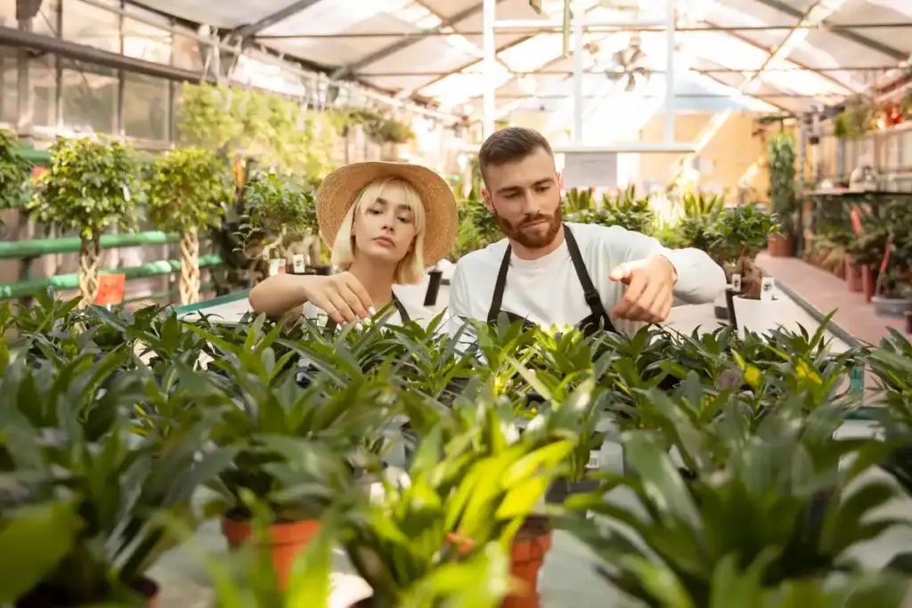 Dutch greenhouse farmer alternative fertilizer 2025