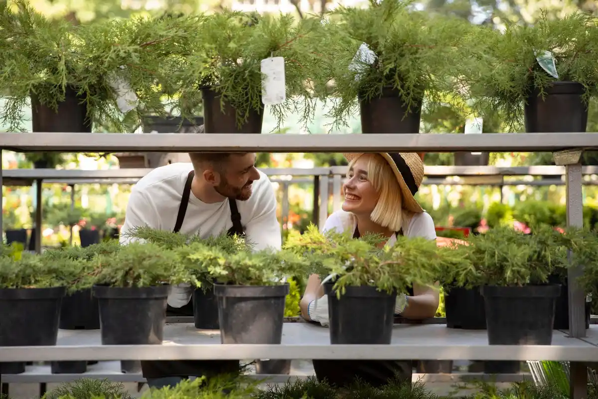 Dutch greenhouse gardeners reducing fertilizer use 2025