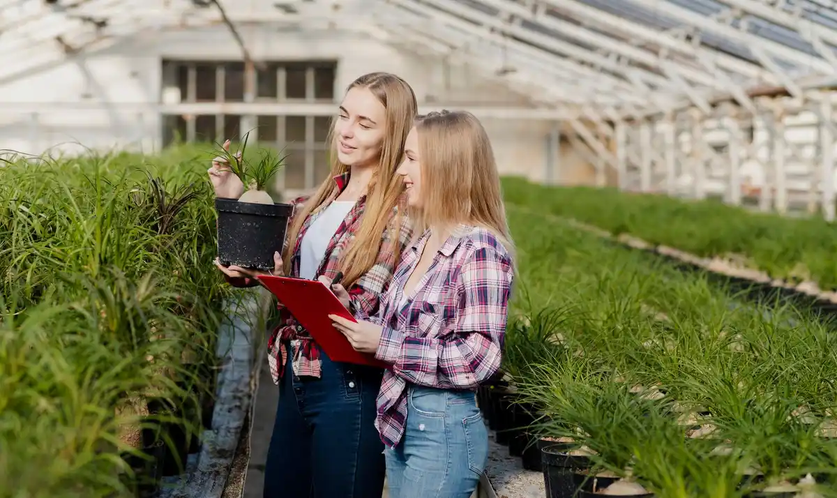 Dutch farmers sustainable fertilization innovation