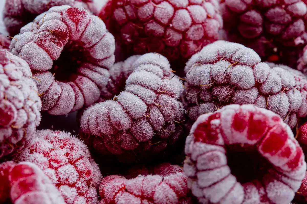 frozen seeds on ice macro