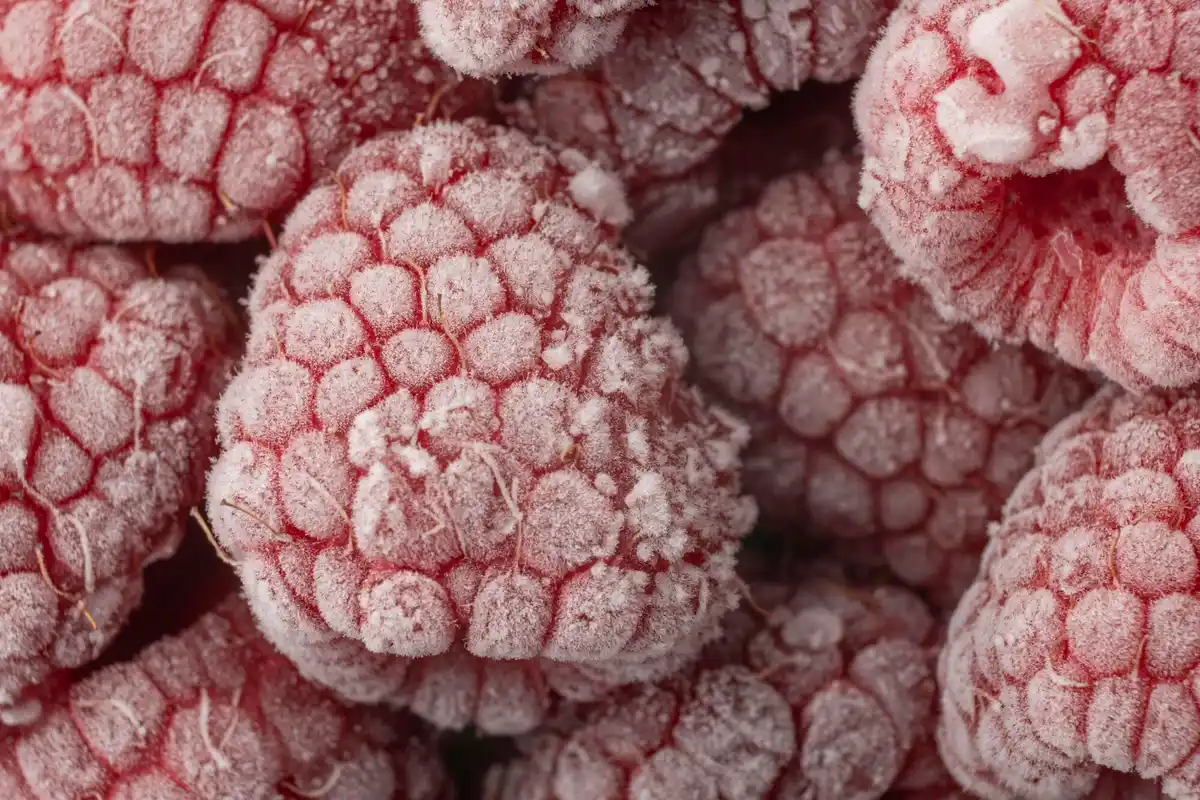 frozen seeds close up