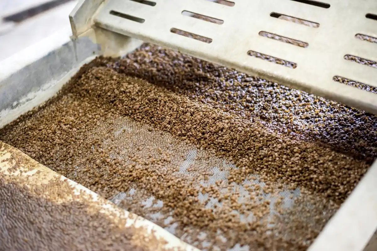stratification seeds process