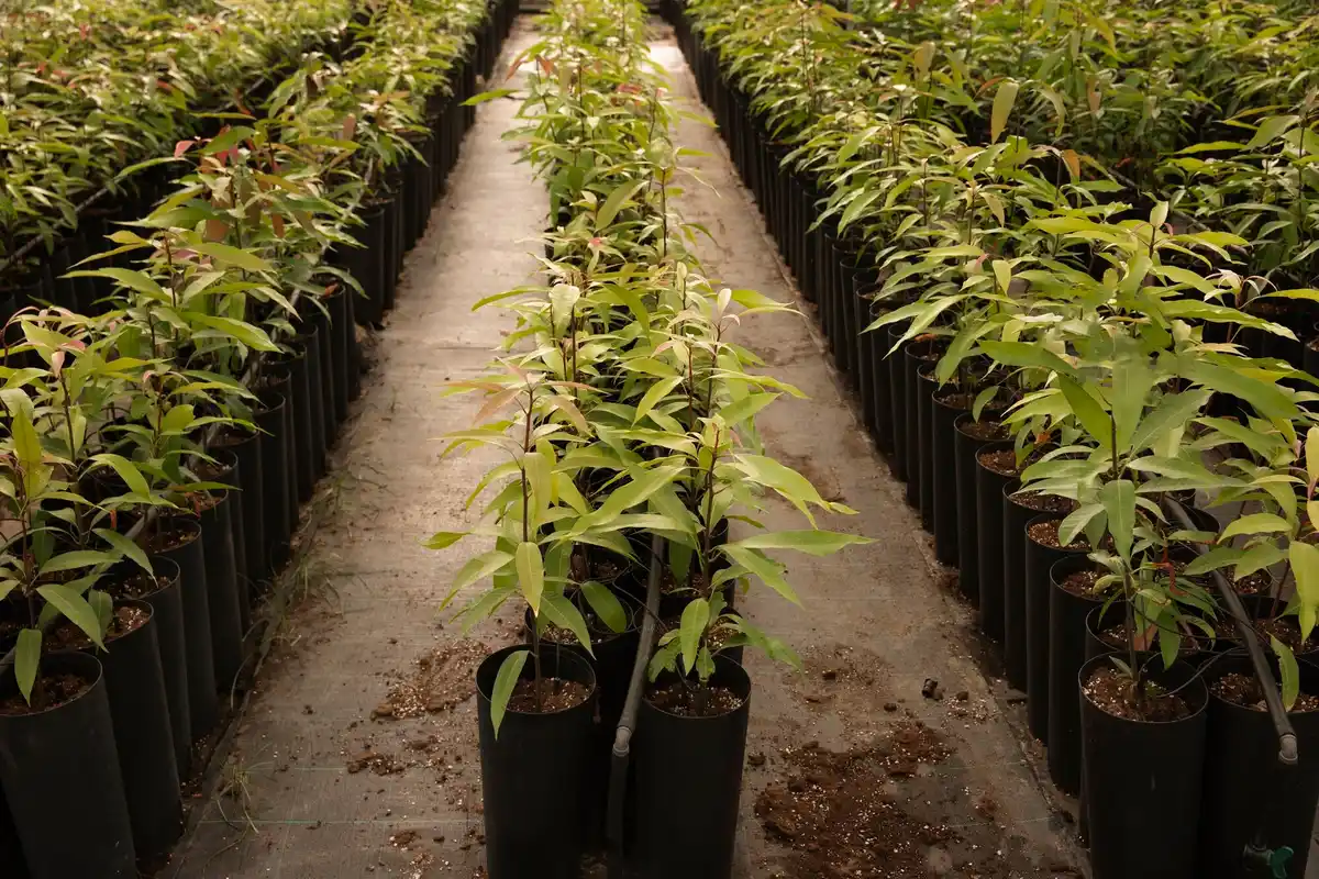 eco-friendly seed storage solutions Netherlands