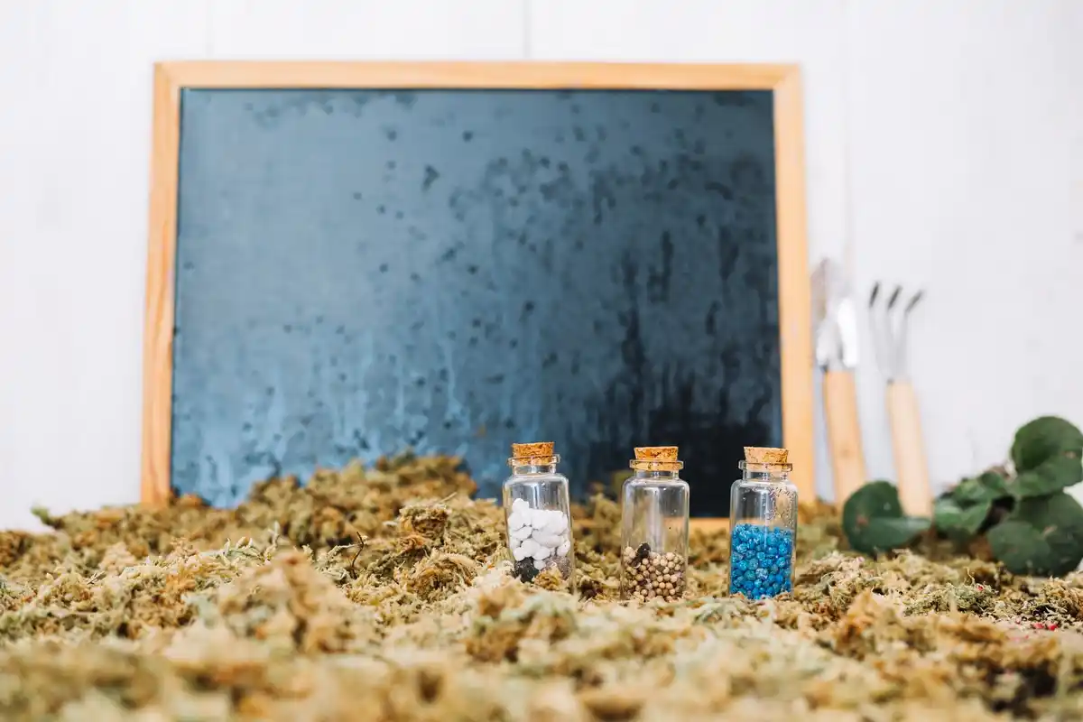eco-friendly seed storage with Dutch elements
