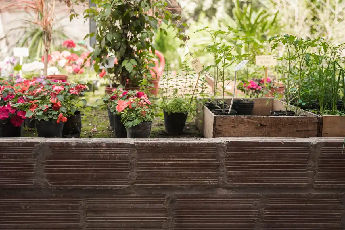 vertical vegetable garden small balcony netherlands