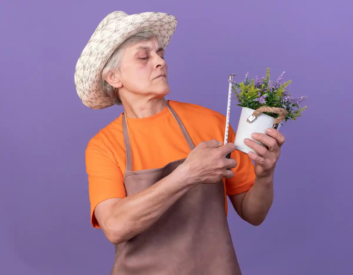 dutch grandma gardening trick coffee grounds flowers