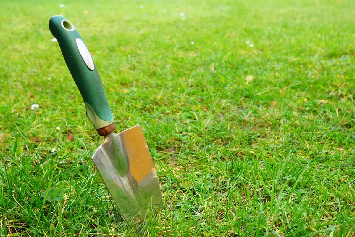 damaged garden soil sharp modern spade Netherlands