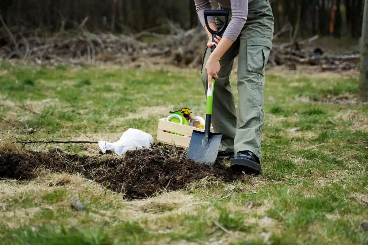 destroyed garden soil popular spade Netherlands