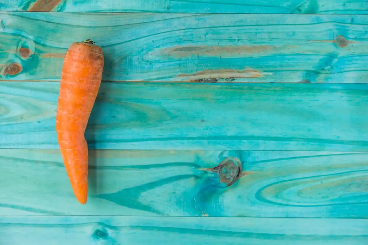 growing carrots mistakes Dutch vegetable garden funny shapes