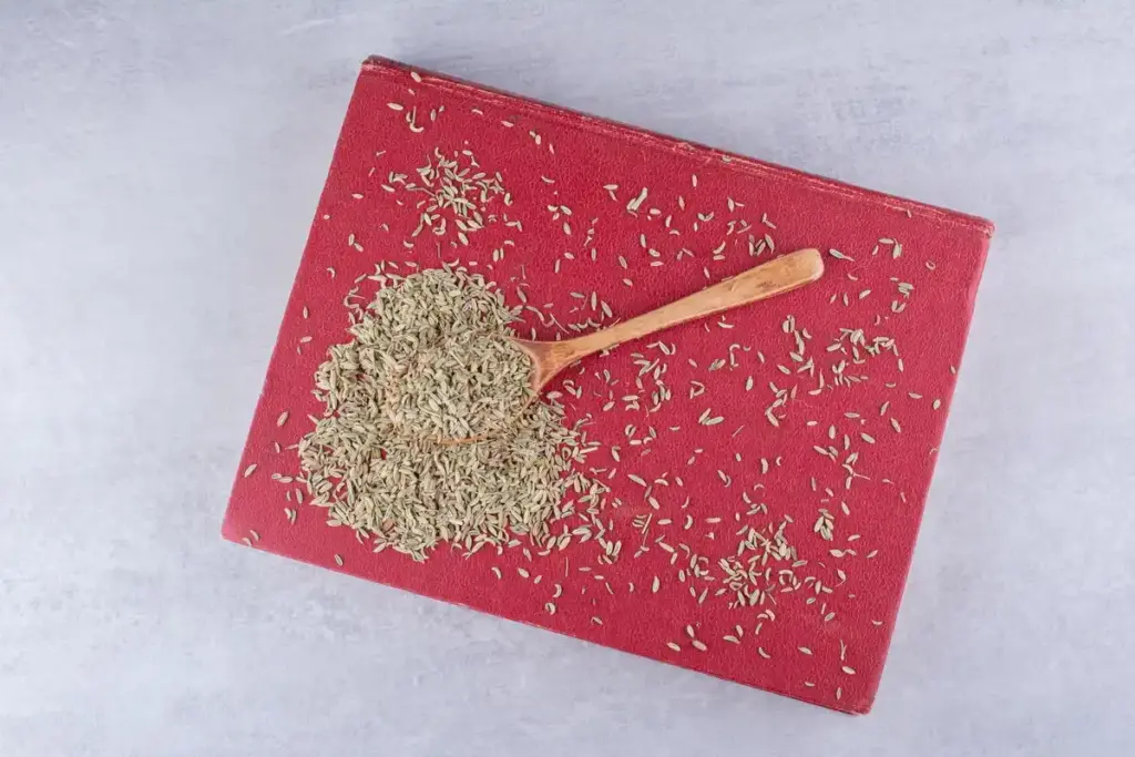 seeds germinating on wet paper towel kitchen
