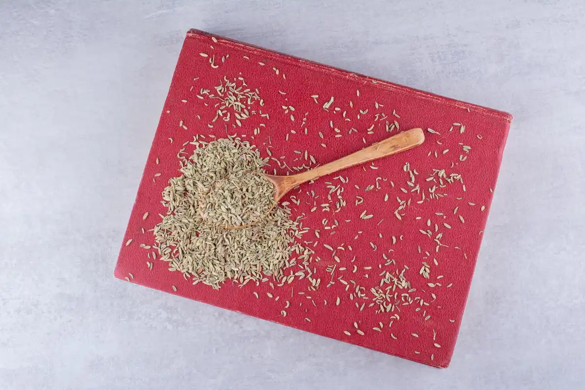 seeds germinating on wet paper towel kitchen