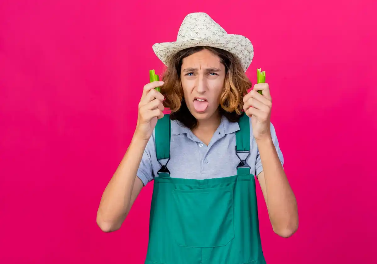 supermarket garden seeds disappointment Dutch