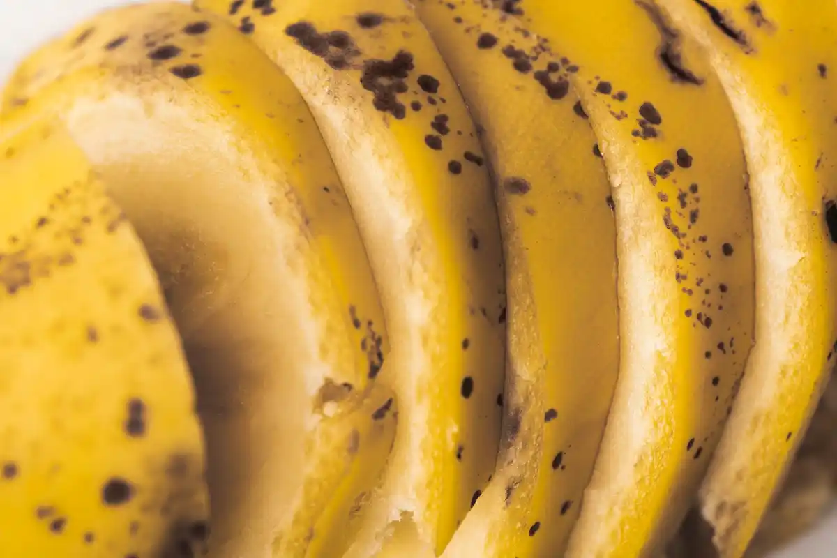 banana peels compost insects Dutch garden
