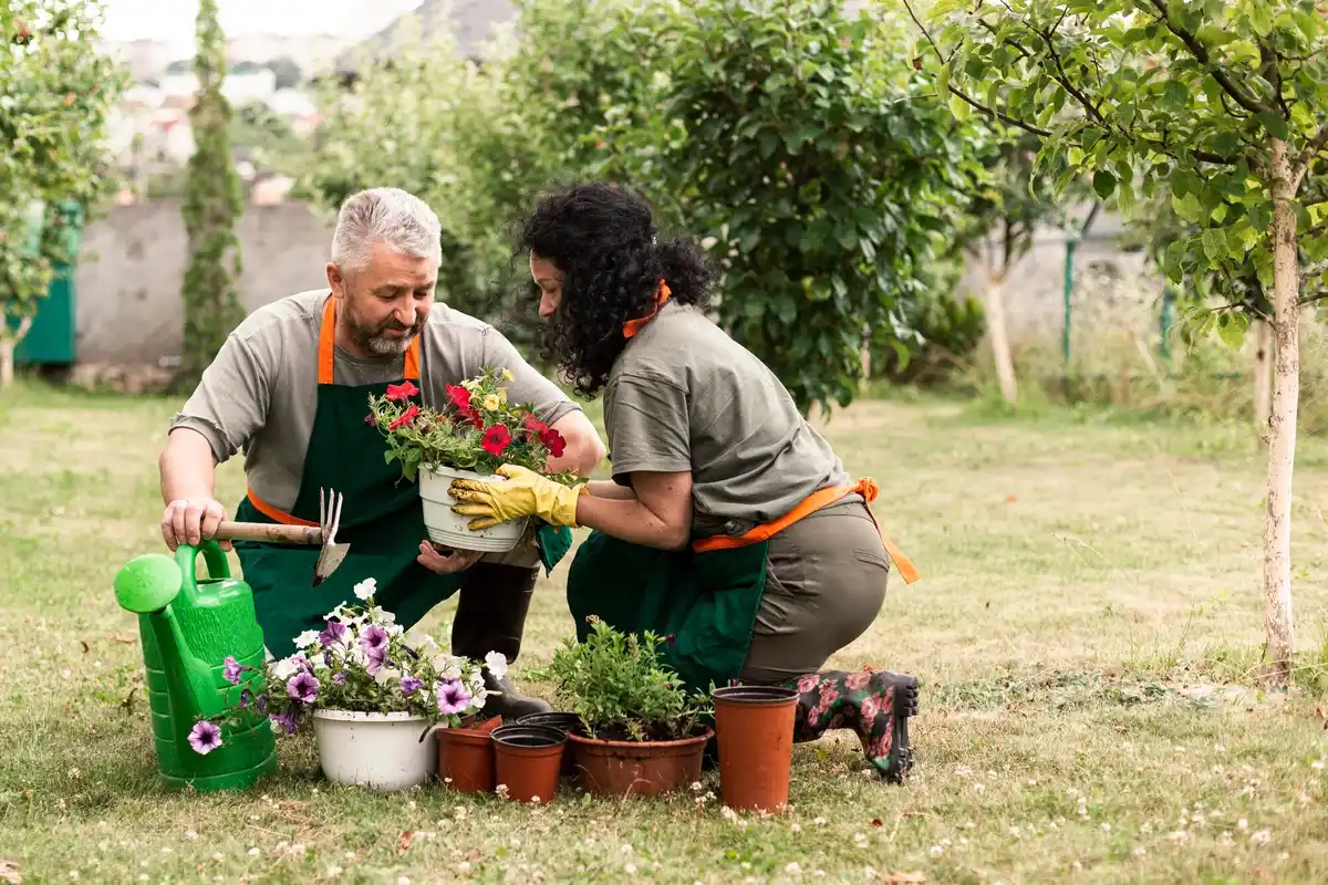 elderly gardener no dig urban vegetable garden netherlands