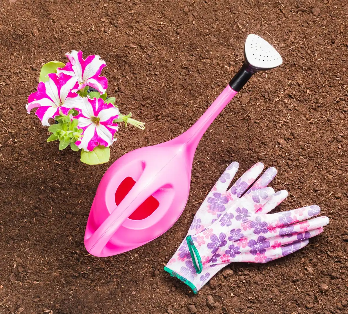 overused garden tools damaging soil netherlands