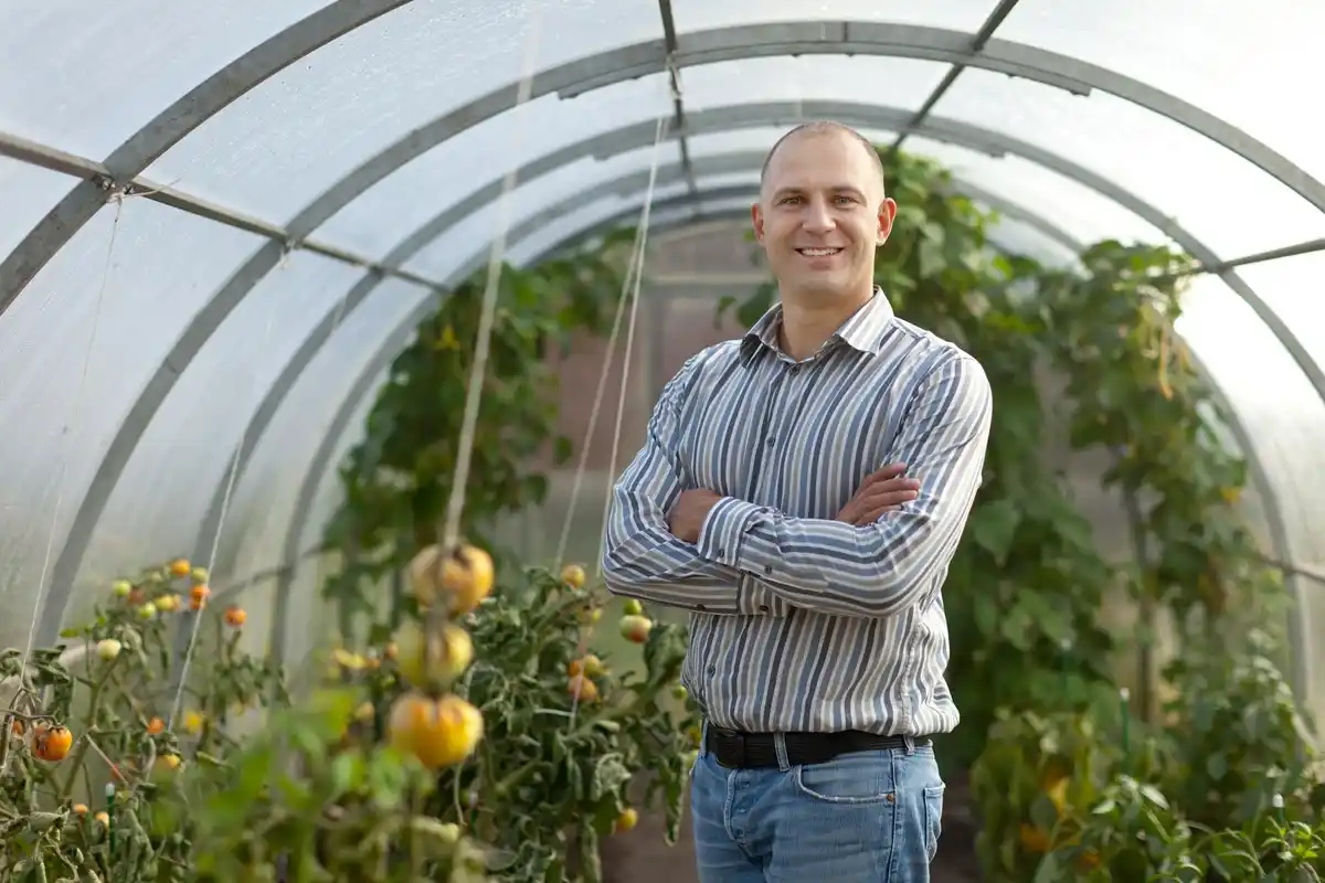 Dutch grandfather greenhouse hack