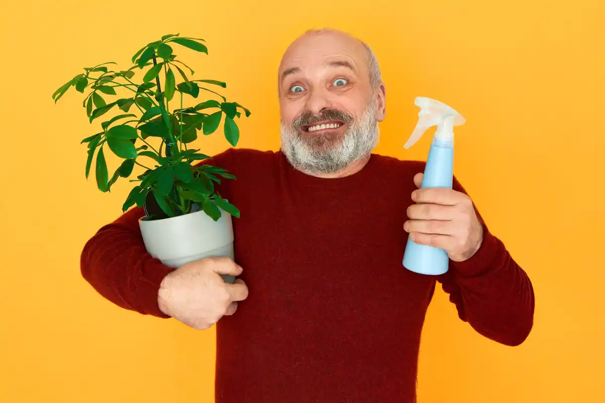Dutch grandfather greenhouse trick
