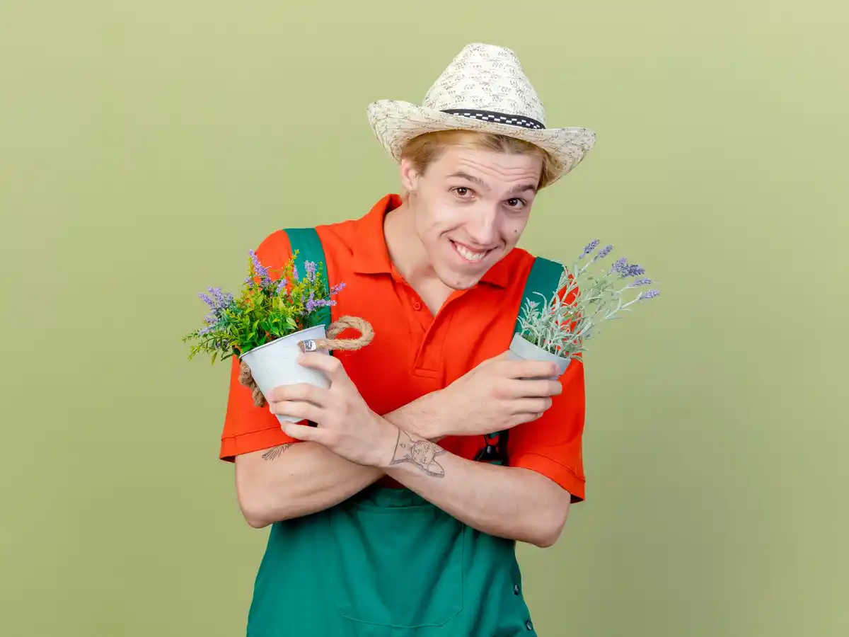 dutch grandma DIY flower seed gardening