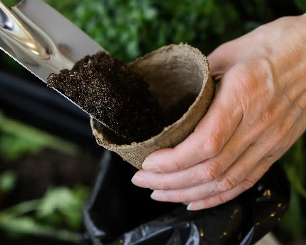coffee grounds fertilizer gardening netherlands