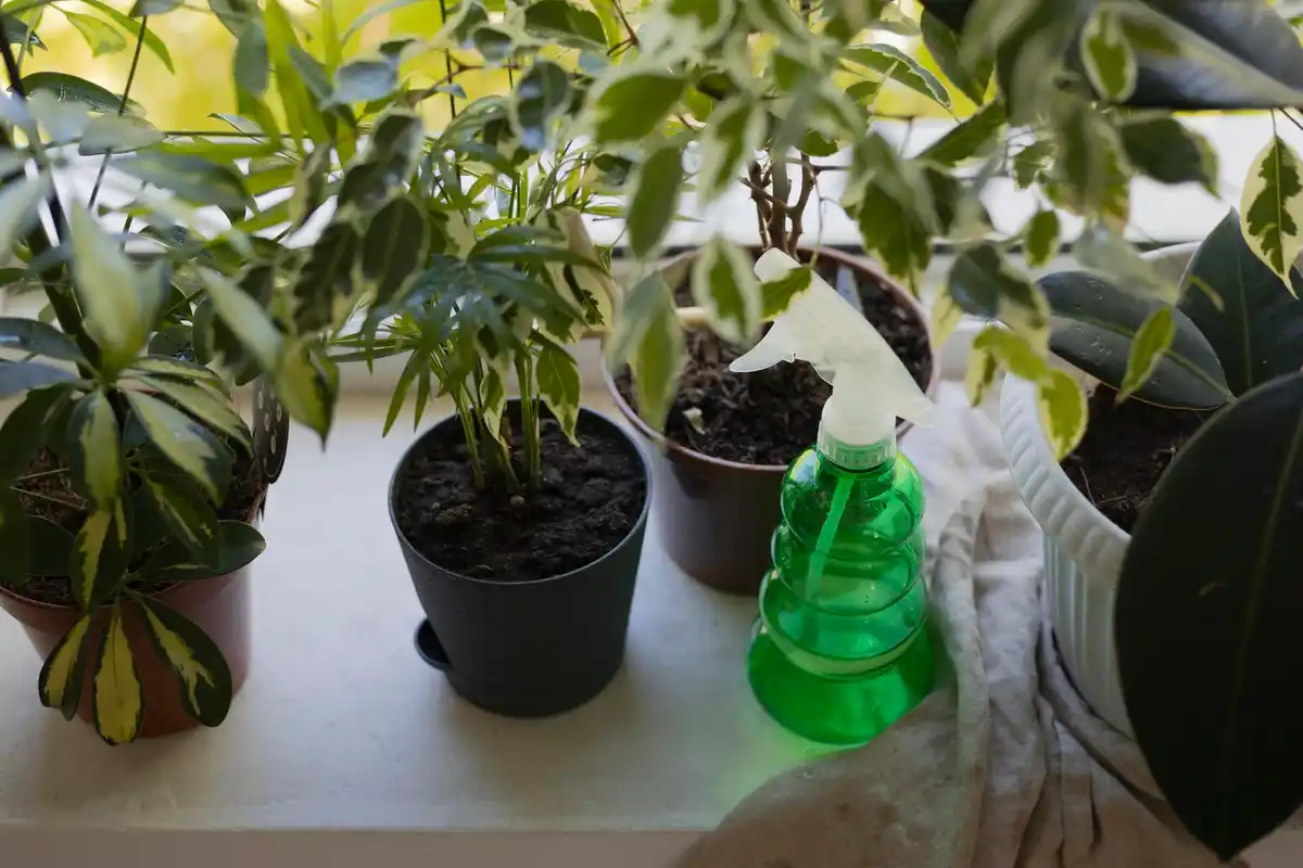 liquid fertilizer damage garden plants