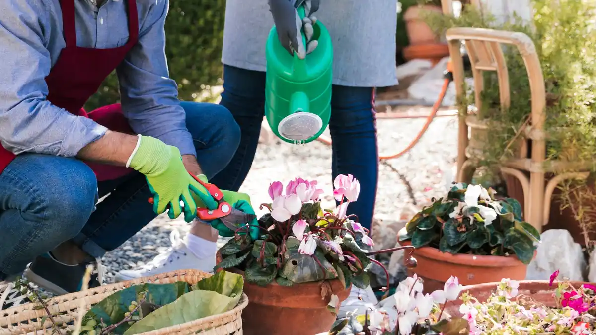 manual terrace cleaning Dutch garden