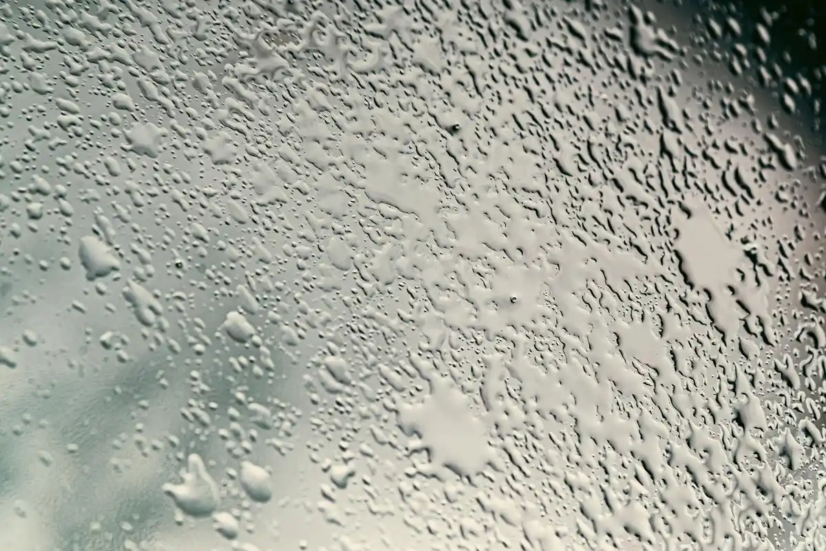 damp condensation inside greenhouse at night